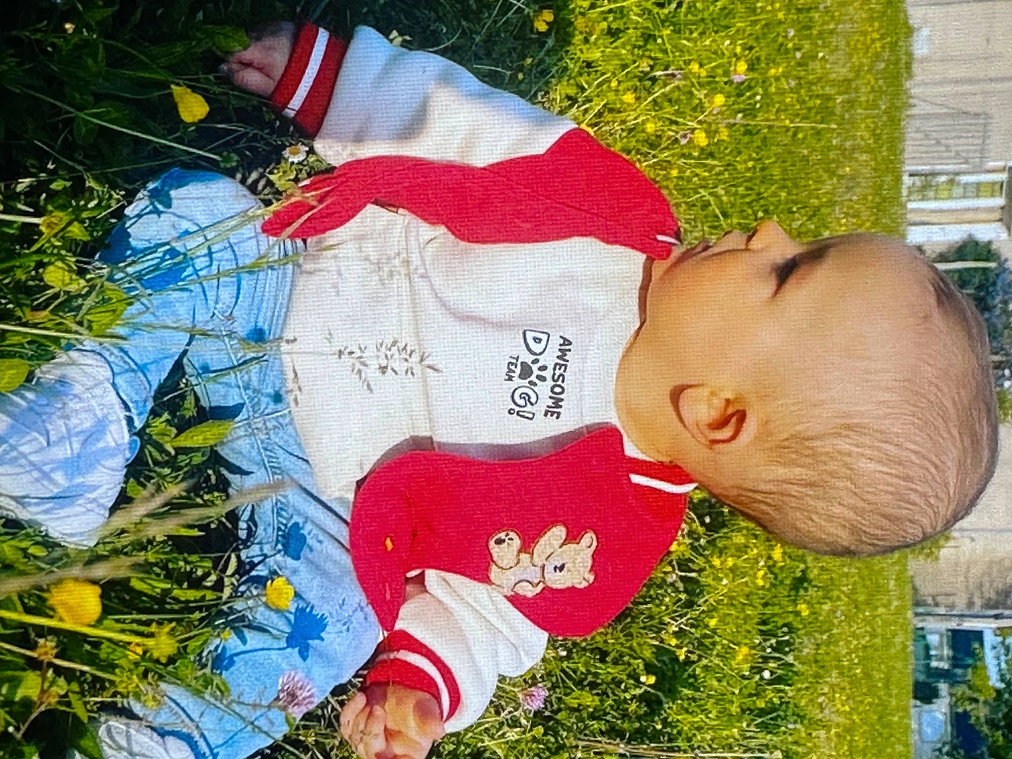 Paulo Alexandre participe au concours pour gagner de l'argent avec cette photo : adaptation, art, baby, carmine, child, event, fun, grass, happy, leaf, leisure, organism, pattern, people_in_nature, person, plant, spring, summer, textile, toddler