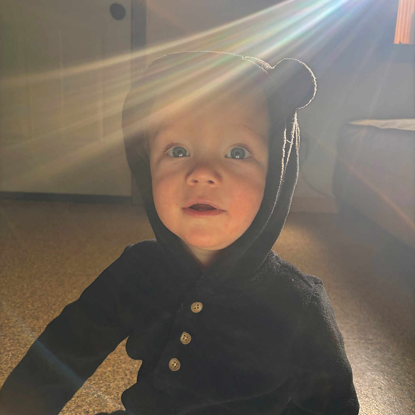 Atlas joined the competition — help win amazing prizes! child, toddler, portrait, face, eyes, wide_eyed, hood, hooded_clothing, black_clothing, sitting, indoors, sunlight, sun_rays, lens_flare, dramatic_lighting, floor, door, room, looking_at_camera, photograph