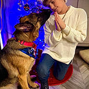 Maya joined the competition — help win amazing prizes! boy, dog, german_shepherd, santa_hat, white_sweater, blue_jeans, black_boots, christmas_tree, holiday, indoor, kneeling, pet, animal, decorations, festive, warm_lighting, flooring, red_collar, bandana, affection