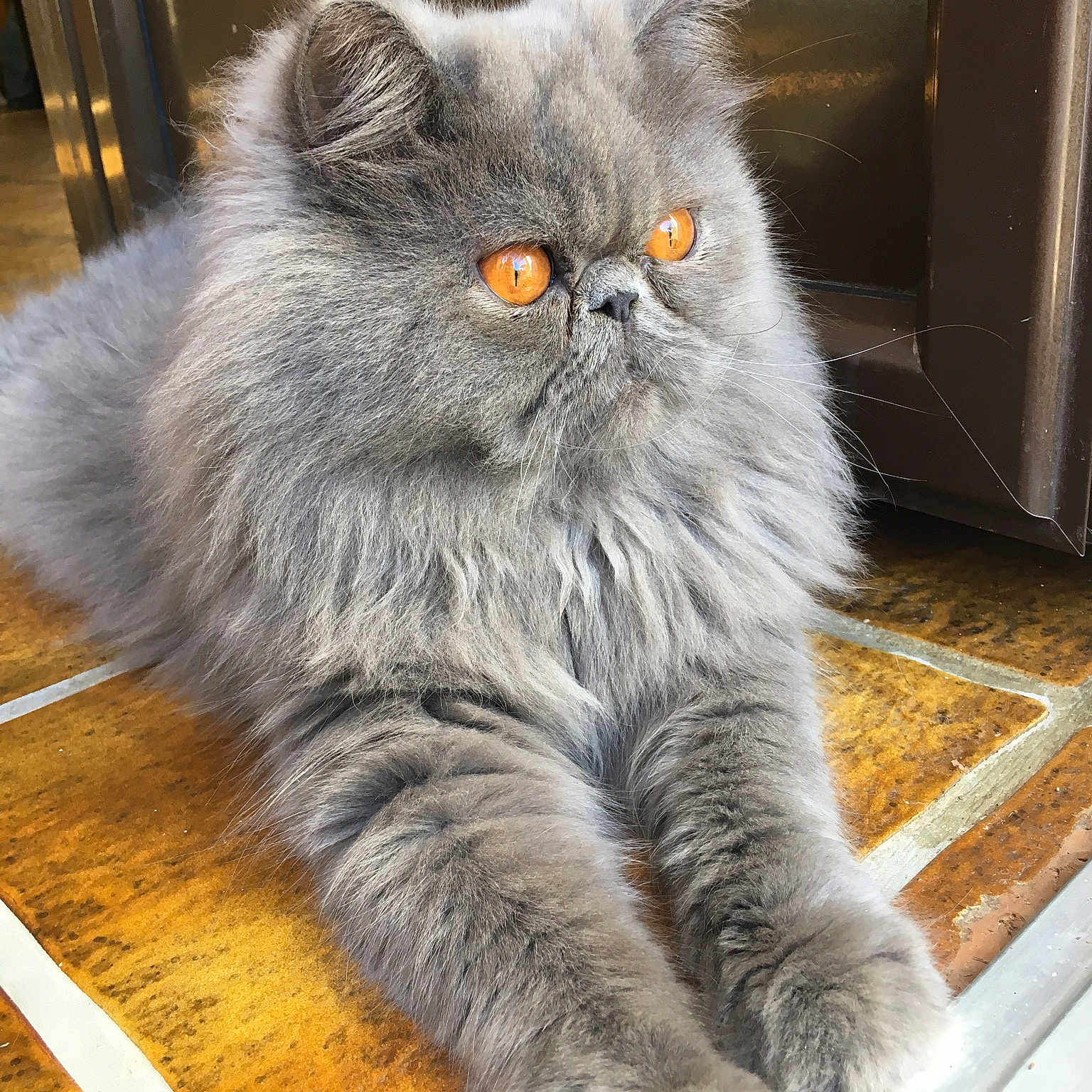 Napoleon