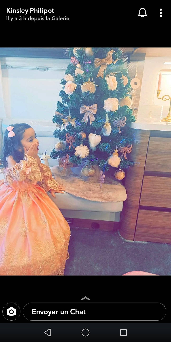 Leighton a rejoint le concours — aidez-le/la à gagner de superbes lots ! bridal_party_dress, christmas_decoration, christmas_tree, dress, event, flower_arranging, formal_wear, gown, hoopskirt, magenta, ornament, peach, person, petal, pink, plant, product, room, textile, toy