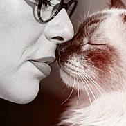Zebulon a rejoint le concours — aidez-le/la à gagner de superbes lots ! affection, animal, black_and_white, calm, cat, close_up, eyes_closed, face, fluffy_cat, glasses, indoor, intimacy, love, nose_to_nose, person, pet, portrait, soft_light, tenderness, whiskers