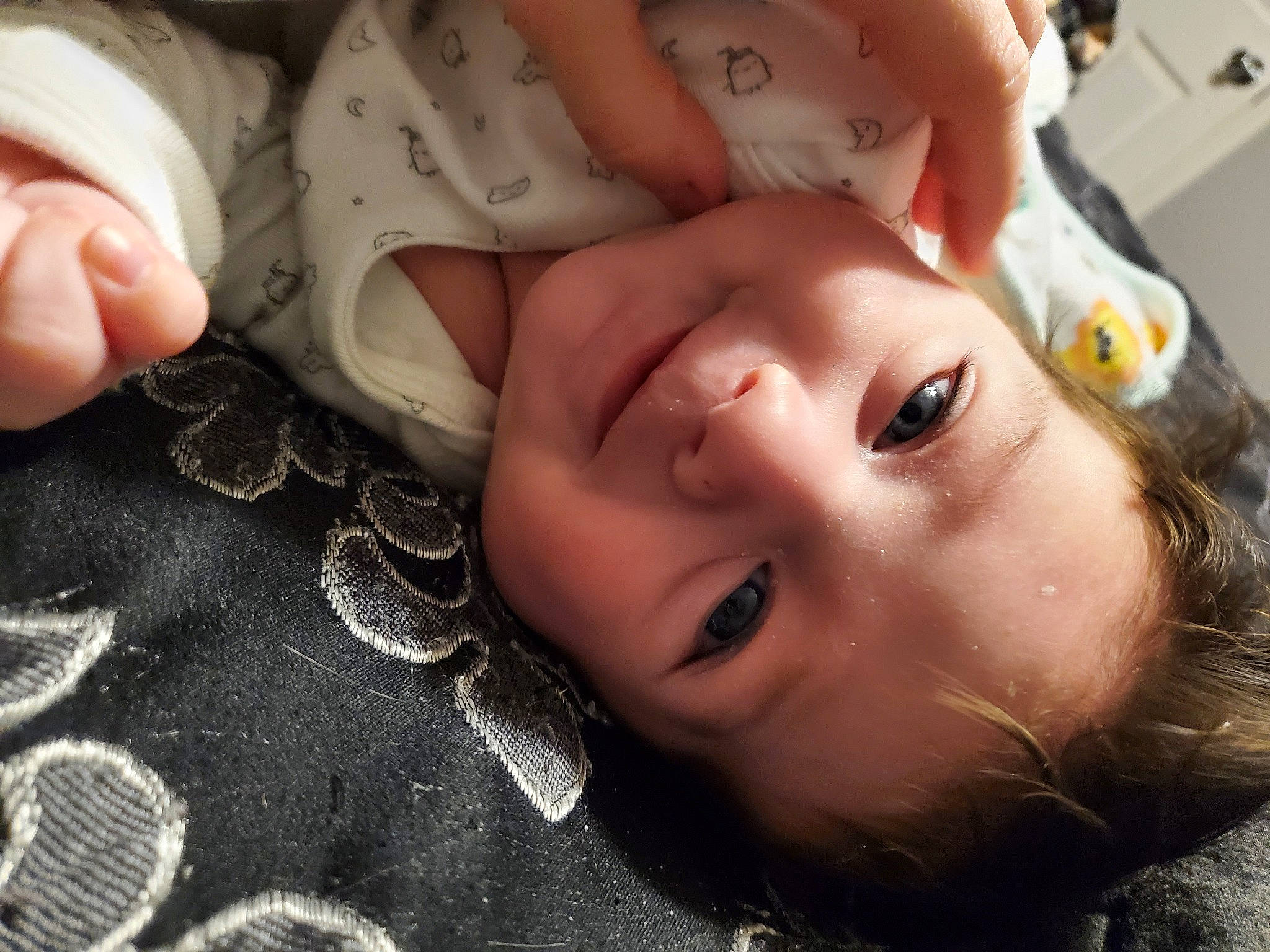 Cesar is registered to the contest to win money with this photo: black, cheek, chin, eye, eyebrow, eyelash, flash_photography, hand, happy, human, human_body, iris, joy, leaf, lip, mouth, nose, organ, person, skin