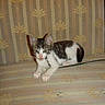 Philou participe au concours pour gagner de l'argent avec cette photo :