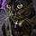 Salem