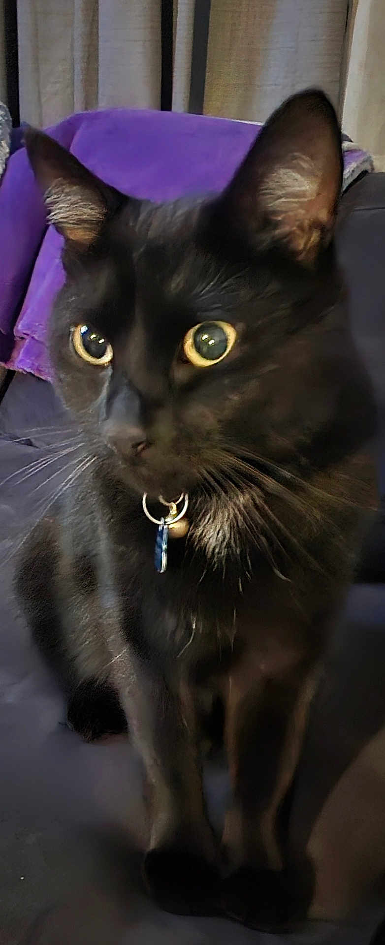 Salem