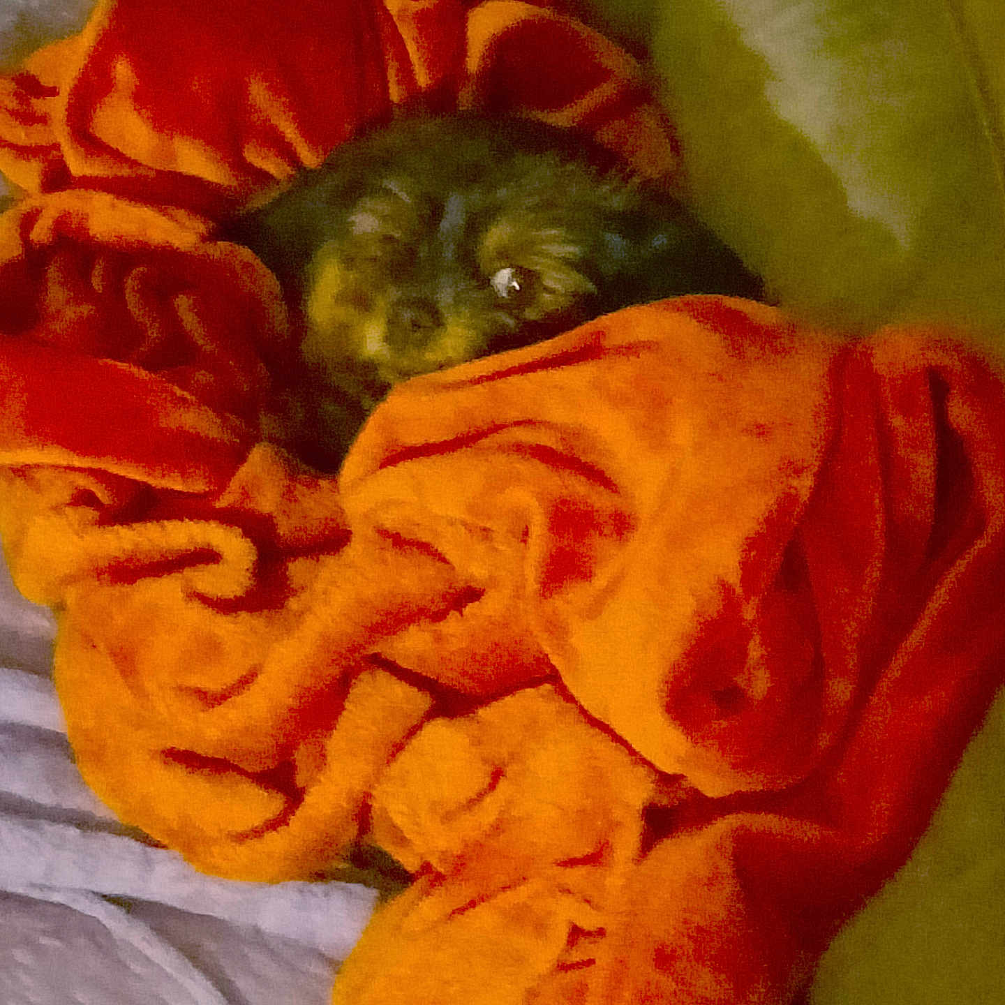 Stella