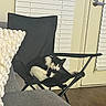 Lola joined the competition — help win amazing prizes! animal, black_and_white_cat, blanket, cat, chair, couch, cozy, door, feline, folding_chair, furniture, grooming, home_decor, indoor, living_room, pet, playful, relaxing, window_blinds, wooden_floor