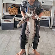 Moon joined the competition — help win amazing prizes! child, boy, cat, pet, indoor, floor, barefoot, smiling, holding, furniture, decorations, snowman, tree, console_table, basket, clothing, gray_cat, white_cat, happy, home