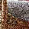 cat, tabby_cat, chair, woven_chair, wooden_legs, indoor, table, tablecloth, patterned_fabric, floor, tile_floor, furniture, pet, curious, wide_eyes, animal, cozy, home, domestic, peeking