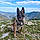 Nalla