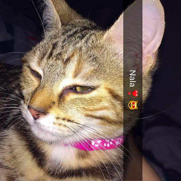 Nala