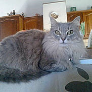 Princesse a rejoint le concours — aidez-le/la à gagner de superbes lots !