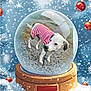 animal, celebration, christmas, cold_weather, cute, decorations, dog, festive, gravel, holiday, outdoor, pet, pine_branches, red_ornaments, seasonal, snow, snow_globe, striped_clothing, sweater, winter
