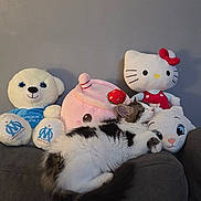 Astra participe au concours pour gagner de l'argent avec cette photo : animal, cat, couch, cozy, cute, domestic_cat, furry, gray_wall, hello_kitty, home, indoor, pink_snail, plush_toys, relaxation, resting, sleeping, soft_toys, stuffed_animals, white_bear, white_cat_face