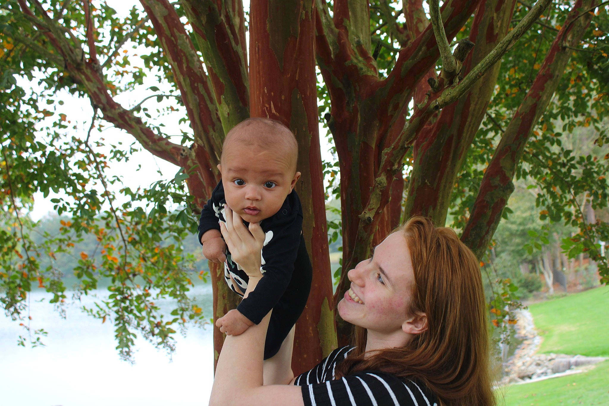 Myles is registered to the contest to win money with this photo: baby, ear, eye, family, human, interaction, joy, leaf, love, mouth, nose, people_in_nature, person, playing_with_kids, portrait_photography, trunk