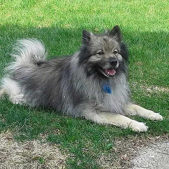 Jack