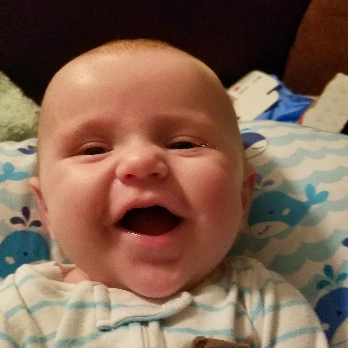 Cael joined the competition — help win amazing prizes! boy, cheek, child, chin, emotion, eye, face, facial_expression, finger, forehead, head, infant, laughter, lip, mouth, nose, person, skin, smile, toddler