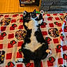 Lilith is registered to the contest to win money with this photo: cat, tuxedo_cat, lying_down, belly_up, paws_up, blanket, strawberry_pattern, cupcake_pattern, indoor, floor, wood_floor, fireplace, stone, cozy, pet, feline, black_and_white, cute, relaxed, home