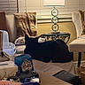 Lilith joined the competition — help win amazing prizes! animal, black_cat, box, cat, chair, cozy, cushion, furniture, game_controller, gaming, home, indoors, lamp, living_room, pet, shadow, sitting, table, video_game, window_blinds