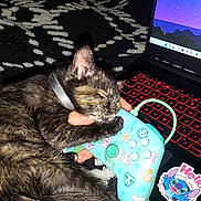 Lilou a rejoint le concours — aidez-le/la à gagner de superbes lots ! cat, tortoiseshell, sleeping, video_game_controller, stickers, laptop, stitch, hello_sticker, hand, blanket, black_and_white, gaming, cozy, paw, cord, electronics, indoor, pet, resting, cute