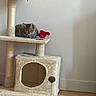 animal, cat, cat_tree, cozy, cute, domestic, floor, furniture, household, indoor, kitten, pet, playful, relaxed, resting, scratcher, sleeping, small, tabby, toy
