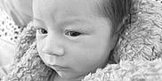 Ismael is registered to the contest to win money with this photo: baby, infant, face, portrait, blanket, soft_texture, black_and_white, close_up, newborn, sleepy, cute, child, wrapped, hair, skin, indoors, peaceful, expression, warm, cozy