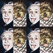 Goliath a rejoint le concours — aidez-le/la à gagner de superbes lots ! collage, dog, tongue_out, patterned_surface, black_and_white_photo, repetition, portrait, animal, pet, cute, hairy, funny, grid, face, expression, furry, closeup, nostalgic, playful, texture