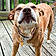 Lilly