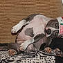 Guess participe au concours pour gagner de l'argent avec cette photo :