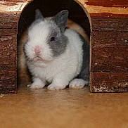 Gucci participe au concours pour gagner de l'argent avec cette photo :