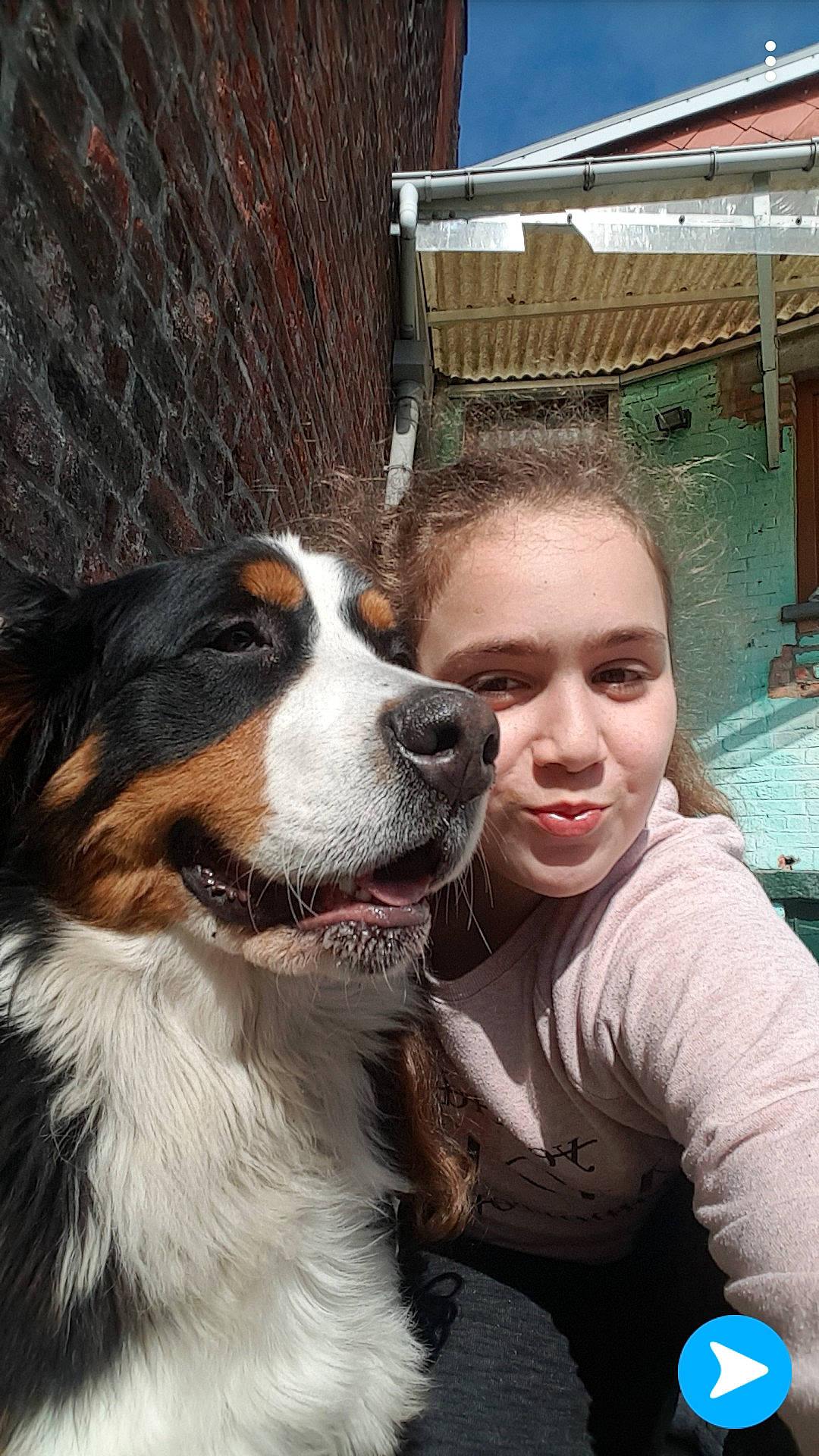Moly participe au concours pour gagner de l'argent avec cette photo : australian_shepherd, bernese_mountain_dog, canidae, carnivore, companion_dog, dog, dog_breed, english_shepherd, giant_dog_breed, mammal, moscow_watchdog, person, smile, tornjak, vertebrate, working_dog