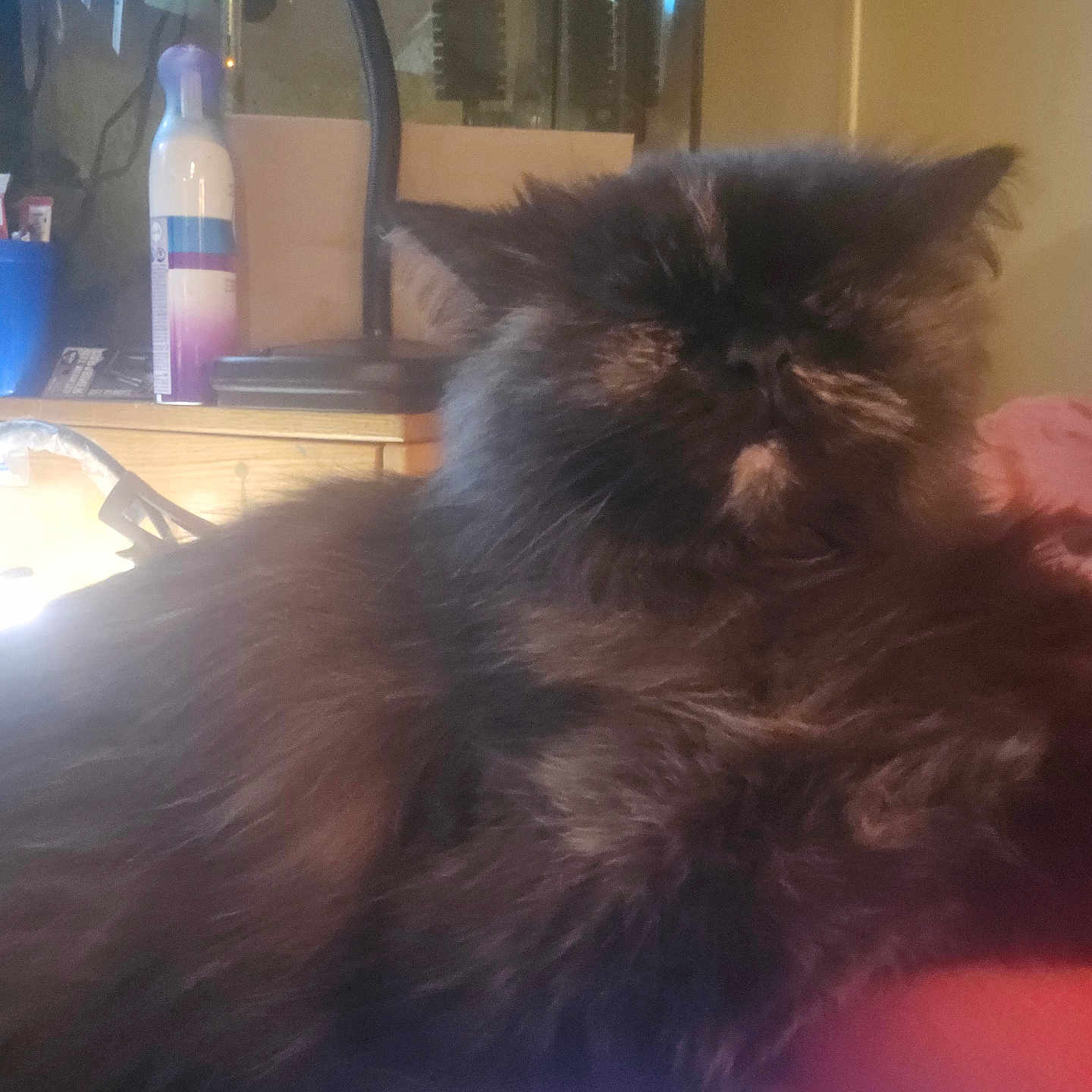 Grumpy
