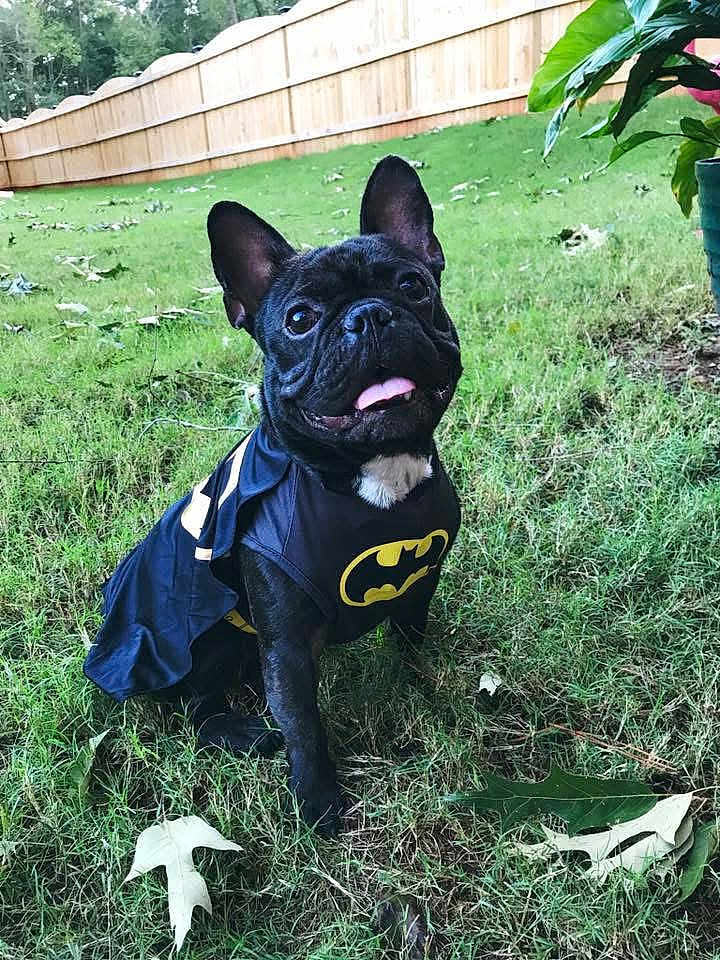 Maximus