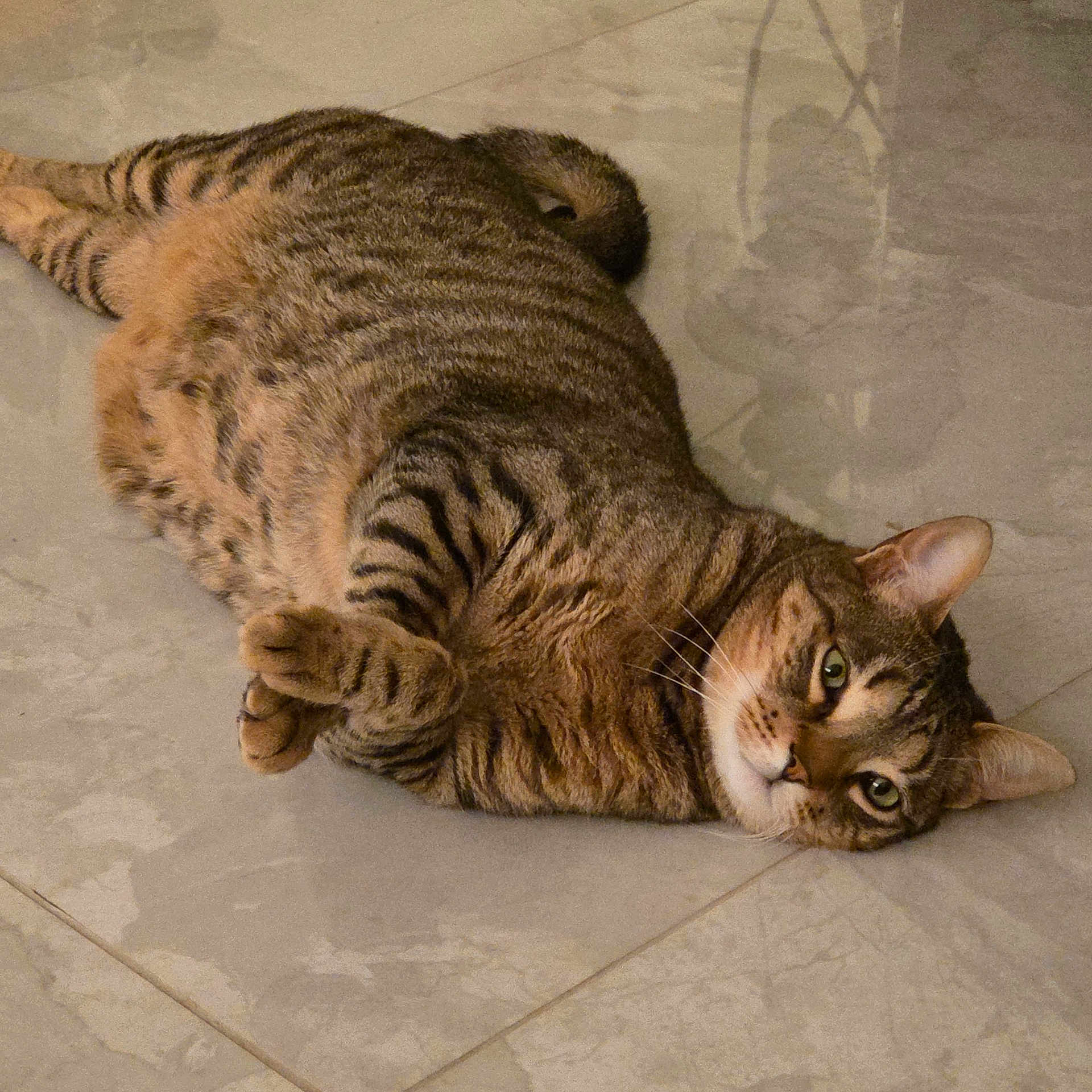 Tigrou
