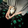 animal, bed, bedroom, blanket, calico, cat, cozy, cuddling, ears, face, hands, holding, indoor, kitten, orange_fur, pajamas, person, pet, whiskers, white_fur
