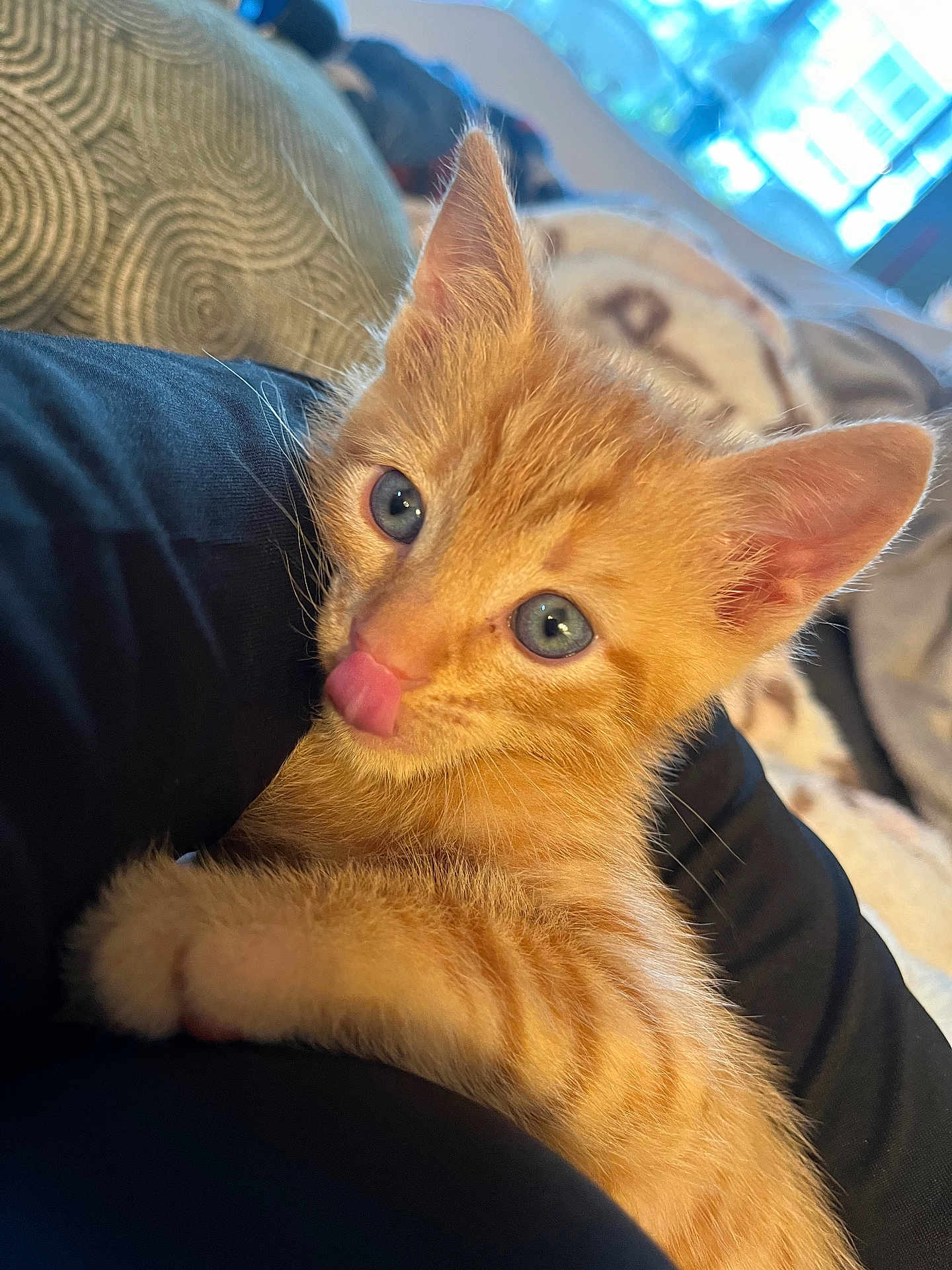 Cosmo