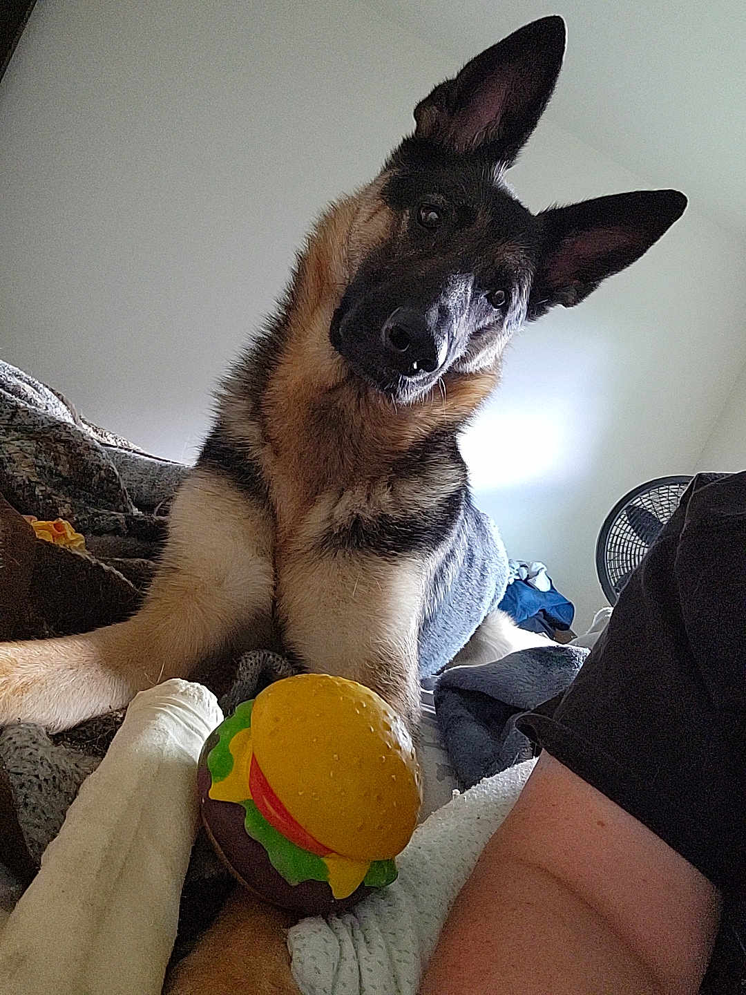 Dakota