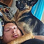 Dakota is registered to the contest to win money with this photo: animal, blanket, bond, close_up, couch, curtain, dog, face, fur, furniture, german_shepherd, human, indoor, man, paw, pet, portrait, relaxation, resting, window