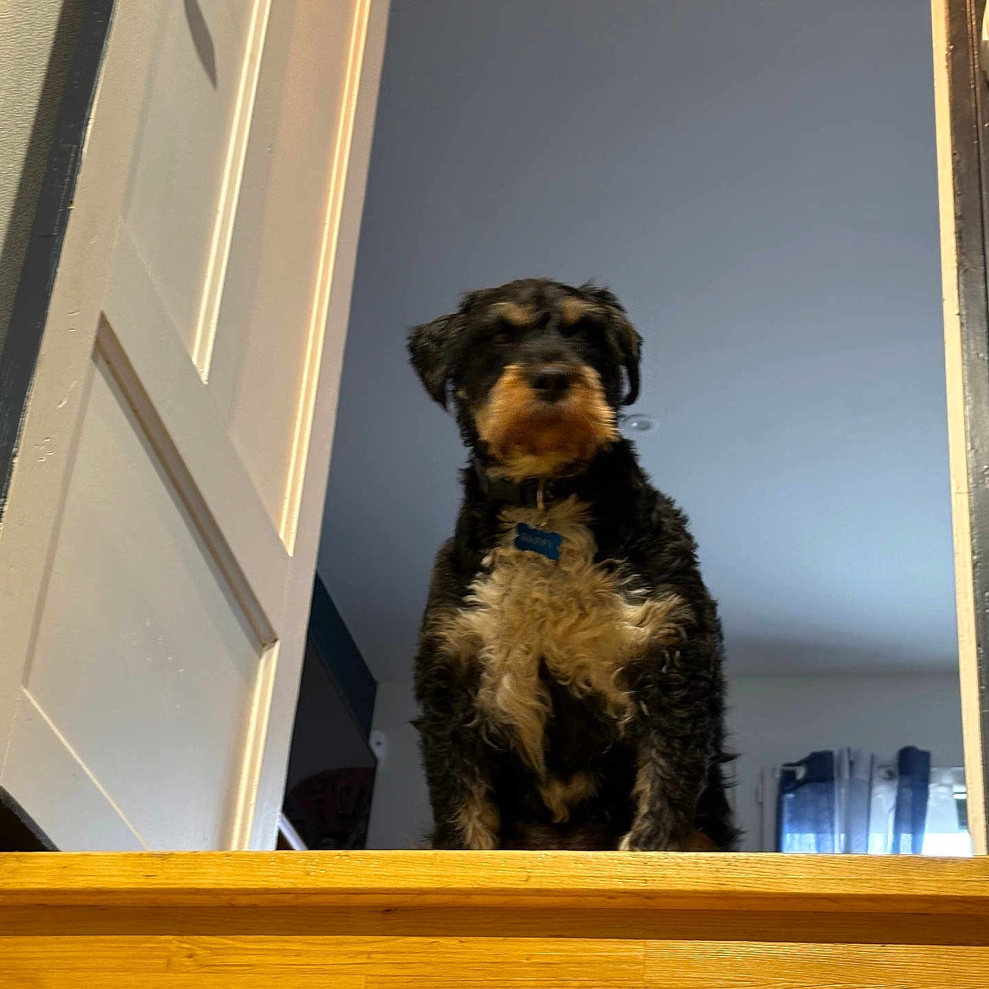 Walter