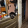black_and_white, cat, clutter, countertop, cozy, curious, door, doorknob, dresser, furniture, hardwood_floor, household, indoor, jars, keys, mirror, pet, reflection, sitting, tuxedo_cat