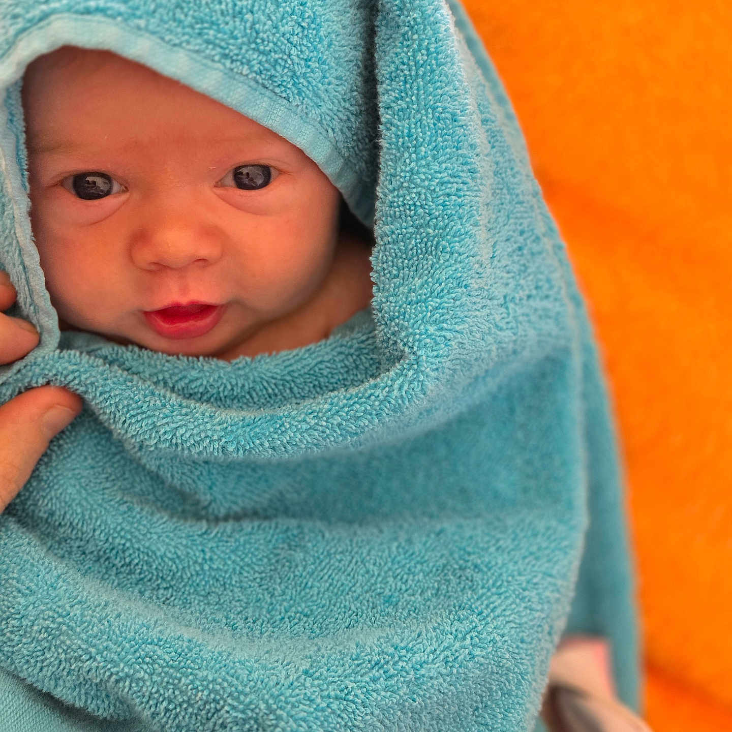 Elya participe au concours pour gagner de l'argent avec cette photo : baby, blue_towel, face, infant, wrapped, curious, orange_background, soft_texture, newborn, child, portrait, cute, skin, hand, warm, cozy, closeup, expression, person, indoors