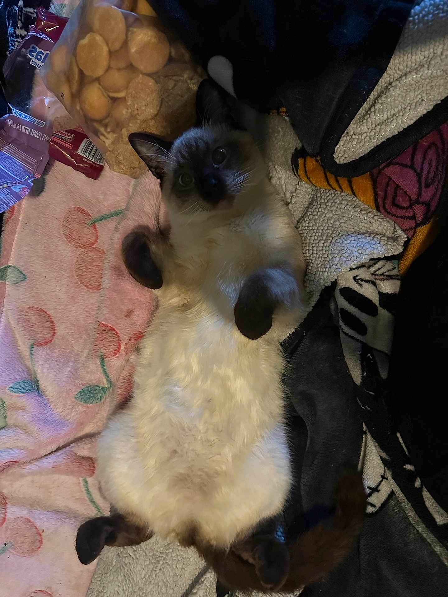 Max