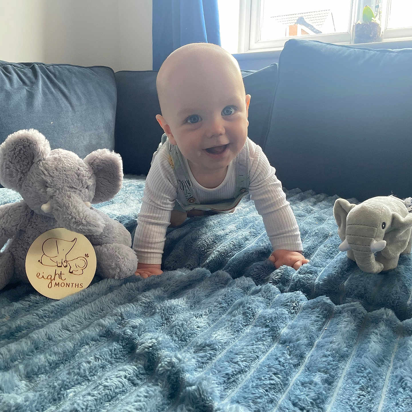Oliver is registered to the contest to win money with this photo: baby, blue_blanket, child, cozy, crawling, cute, eight_months, elephant_toy, happy, home, indoor, infant, milestone, person, plush_toy, smiling, sofa, soft_texture, toddler, window