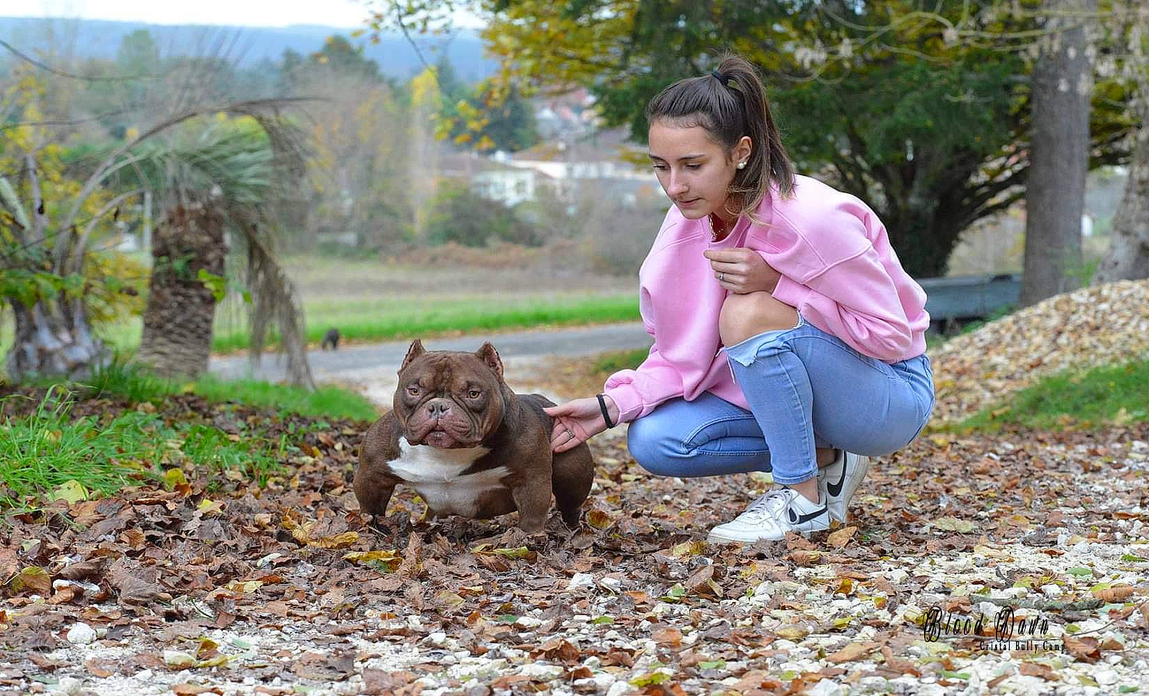 Blood Dawn participe au concours pour gagner de l'argent avec cette photo : adaptation, botany, carnivore, child, companion_dog, dog_breed, fawn, felidae, fun, grass, happy, leisure, mammal, people_in_nature, plant, recreation, sitting, tree, vertebrate, woody_plant