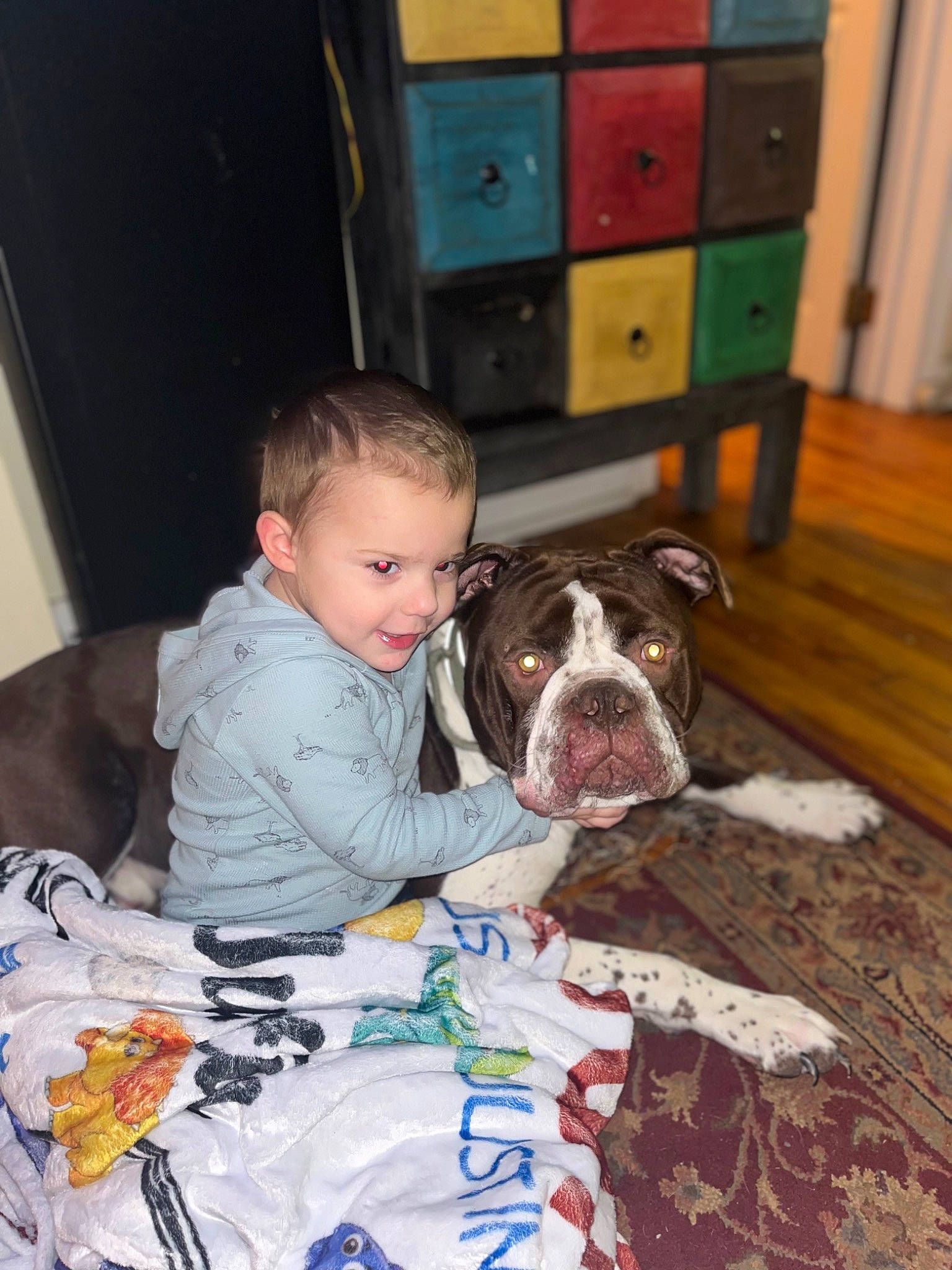 Justin joined the competition — help win amazing prizes! cabinetry, canidae, carnivore, comfort, companion_dog, dog, dog_breed, fawn, flooring, fun, fur, hardwood, house, person, room, smile, snout, sporting_group, toddler, wood