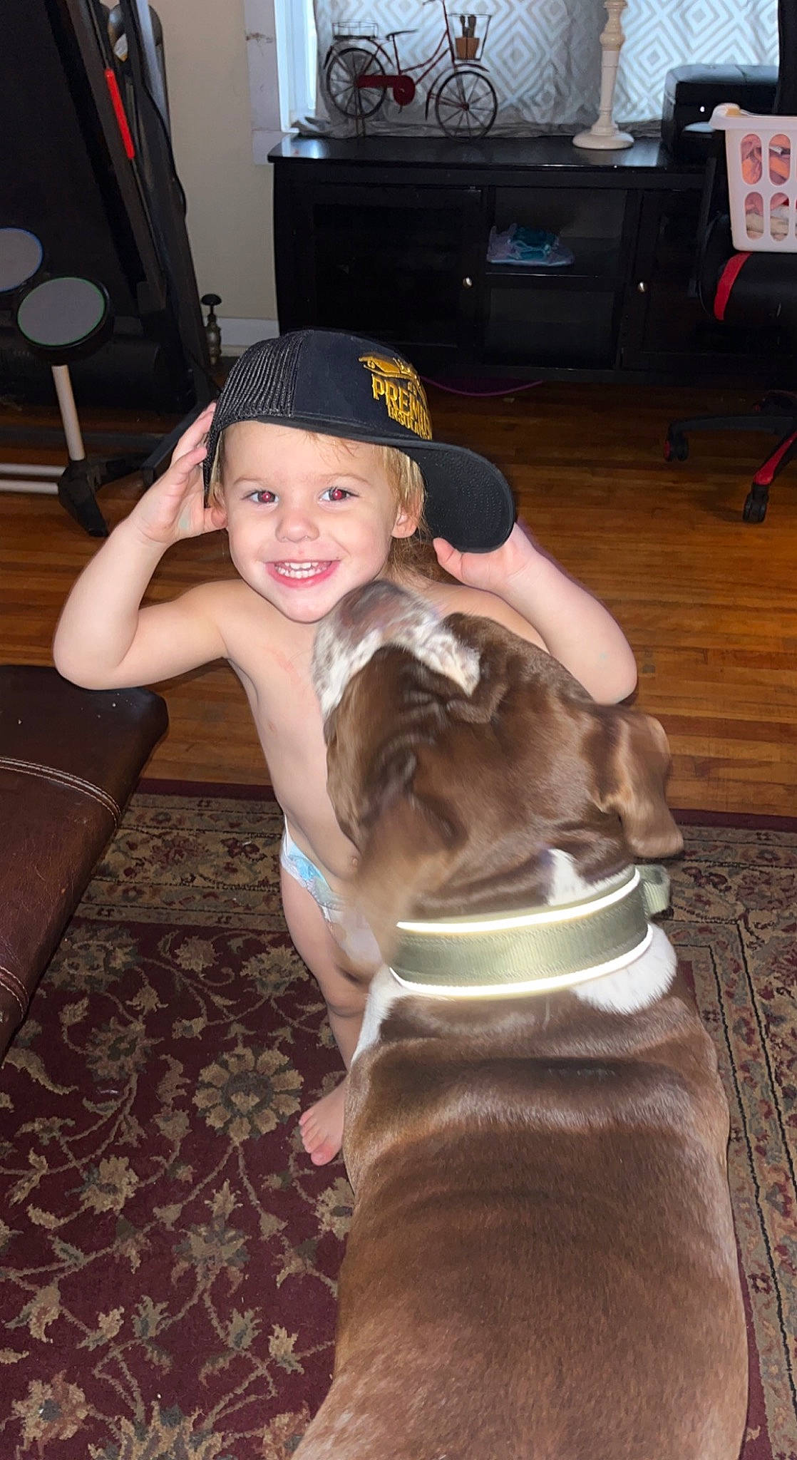 Justin joined the competition — help win amazing prizes! baseball_cap, cap, chair, companion_dog, dog_breed, fawn, felidae, flash_photography, flooring, fun, happy, headwear, human_leg, joy, lap, person, sitting, small_to_medium_sized_cats, smile, tail