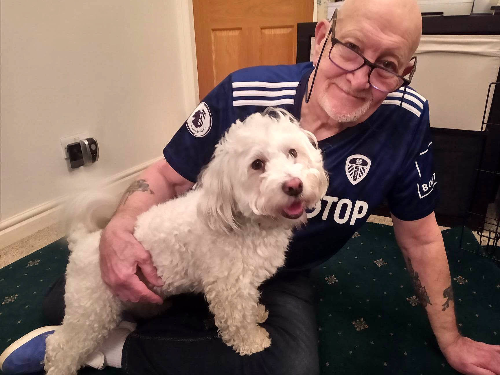 Bailey joined the competition — help win amazing prizes! canidae, carnivore, chair, companion_dog, dog, dog_breed, fur, glasses, happy, labradoodle, maltepoo, poodle, poodle_crossbreed, sitting, small_terrier, smile, sporting_group, t_shirt, terrier, toy_dog