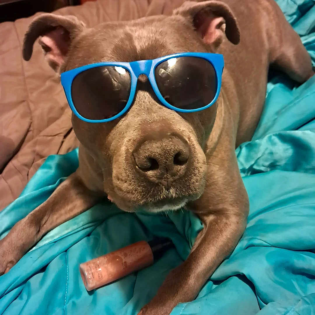 Jax