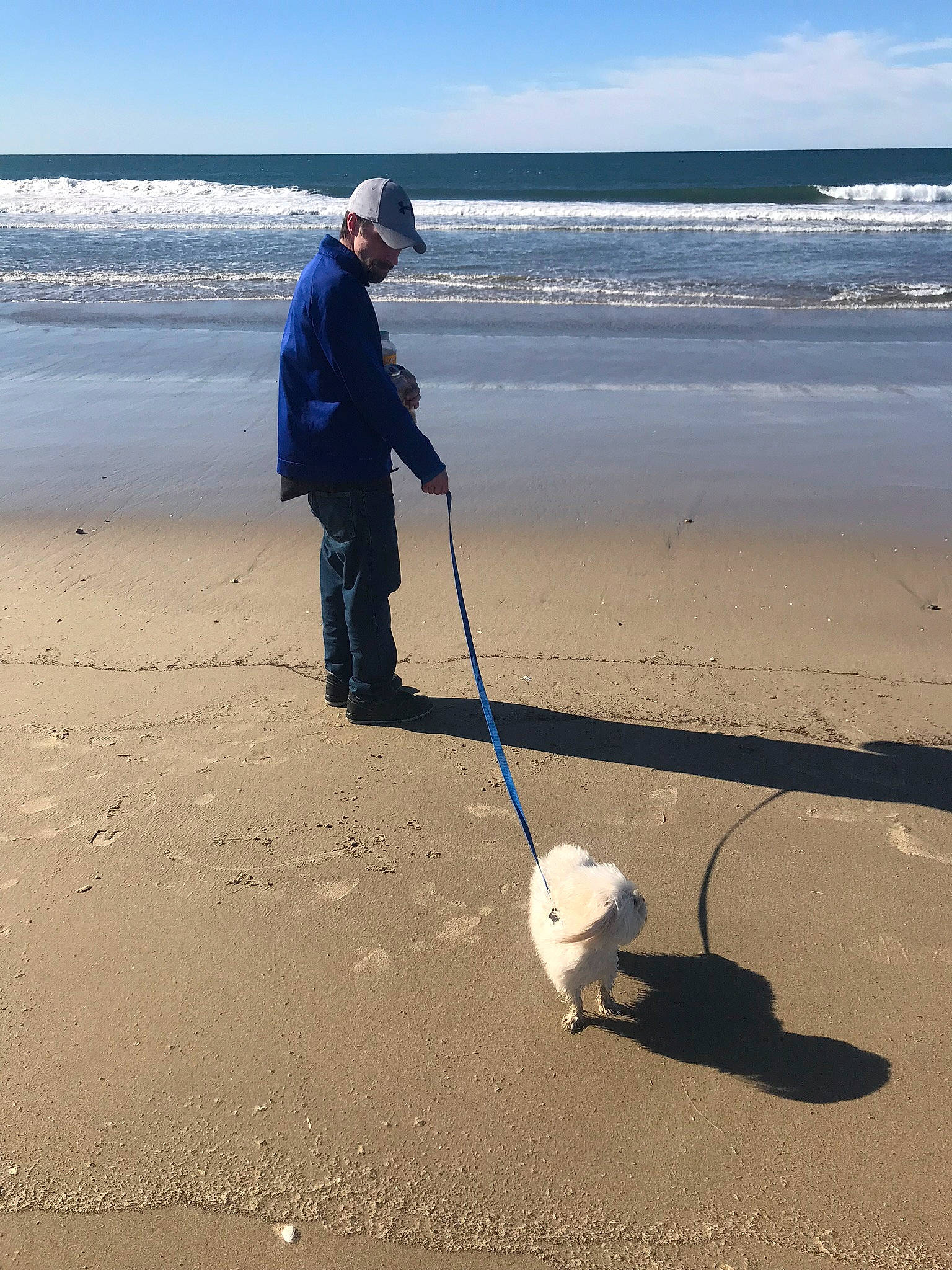 Puppy joined the competition — help win amazing prizes! beach, coast, coastal_and_oceanic_landforms, dog_walking, law_enforcement, leash, ocean, sand, sea, shore, water